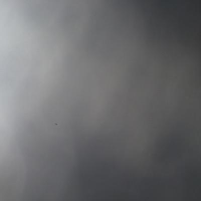 fan_adamlambert's profile picture. 