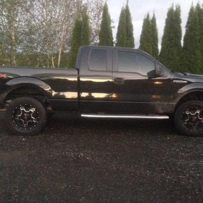 hmhorses1's profile picture. 