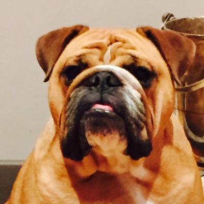 DHardcastle71's profile picture. 