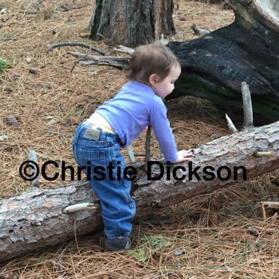 I'm a mom of two cloth diapered kids who wants to help educate about the modern world of cloth diapering! Check out my blog and facebook page as well!