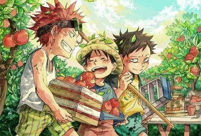 mi bio se la comio luffy