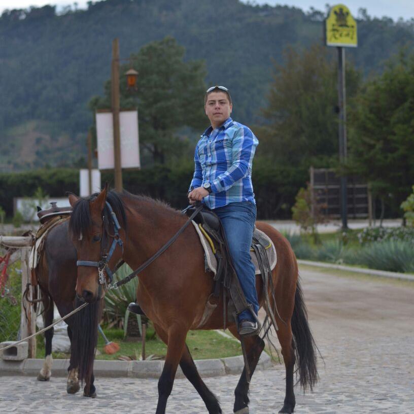 stuardo