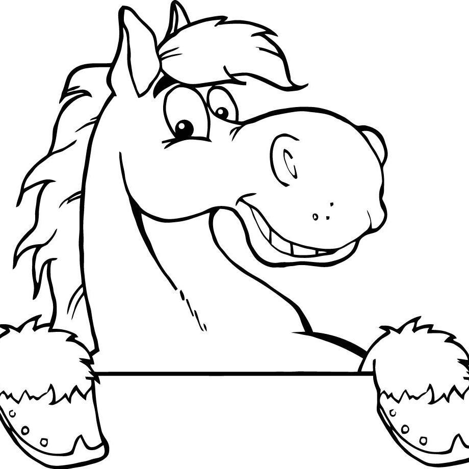 opensourcedata's profile picture. Data gathering workhorse