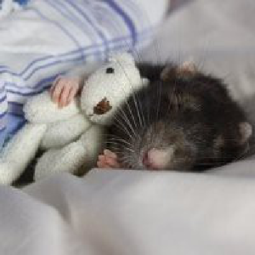 alekseifadeev's profile picture. Не надо передавать мне приветы. Передавайте мне деньги.