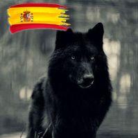 Sereno ante el peligro. Español de cepa, con un defecto, ser del Barsa. Los políticos no me interesan. La naturaleza, los animales y la montaña mi pasión.
