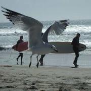 littleUSAtrips's profile picture. 