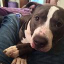 Zach Hogan - @ZachHogan5 - Twitter