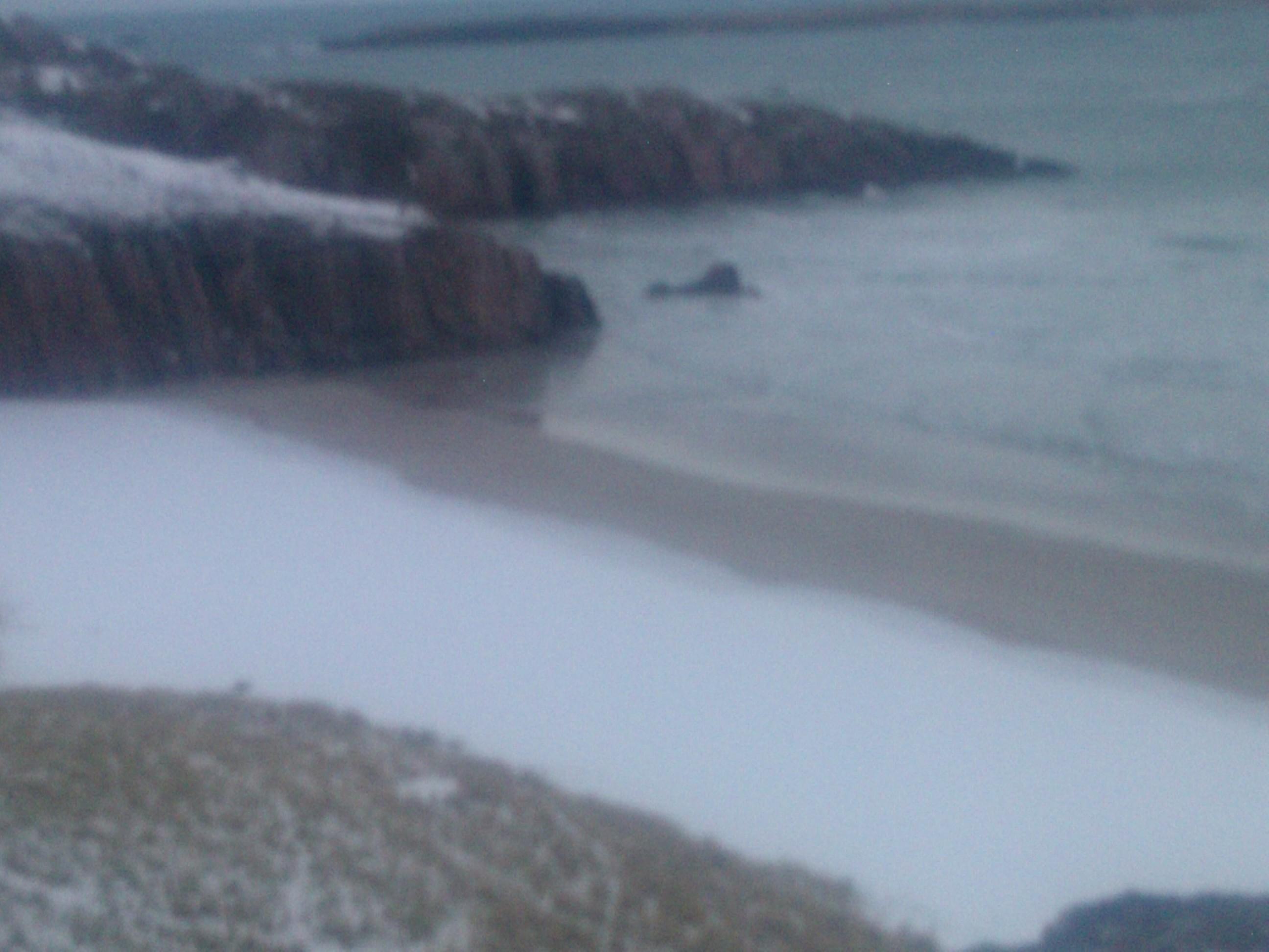 neil_gillon's profile picture. Do not obey you must have your say