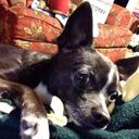 James Pevey - @poppy_pevey - Twitter