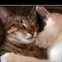 Adriel Ramos Lopez - @Dubl00n2 - Twitter