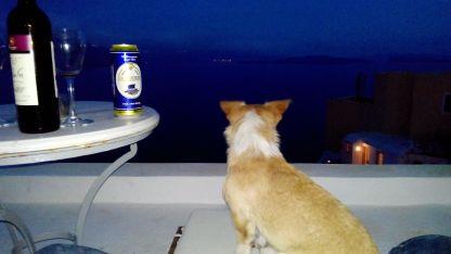 sewnfone9's profile picture. 