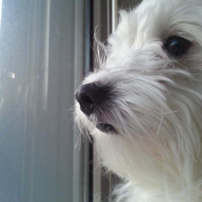 Yannis_milky Profile Picture