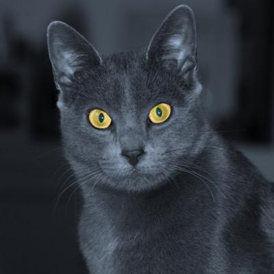 lola_ferreras's profile picture. 