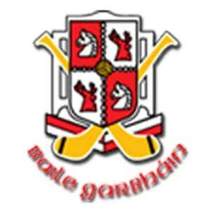 Official Twitter account for Ballygarvan Ladies Football Club