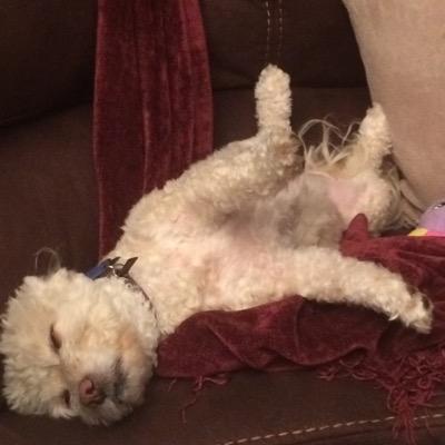 Beres4d's profile picture. Music, Innovation, and Giving Back