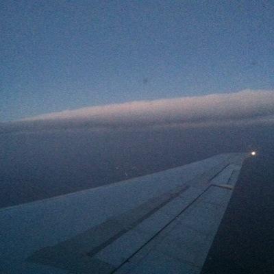 rayofllight's profile picture. 