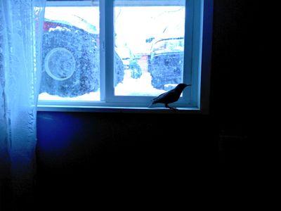 Jose_ffa's profile picture. bim!!!!!