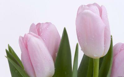 ‏‏‏‏‏‏‏‏اصعب اشتياق .. هو ذاك الاشتياق لشخص اخذه الموت منا ! #أبي