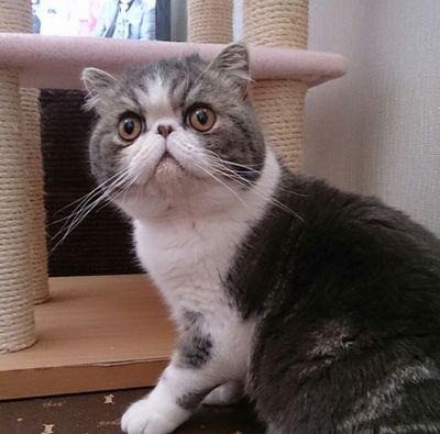 I'm a little bit grumpy!