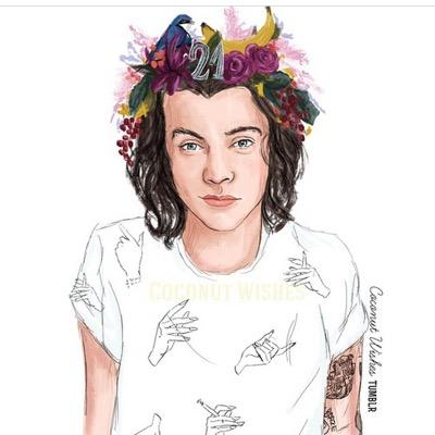 i love One Direction and 5SOS of course❤️