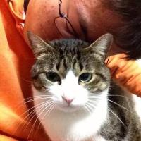 Tatsuya ENDOH / 遠藤 樹弥 (@tatsuya_e628) 's Twitter Profile Photo
