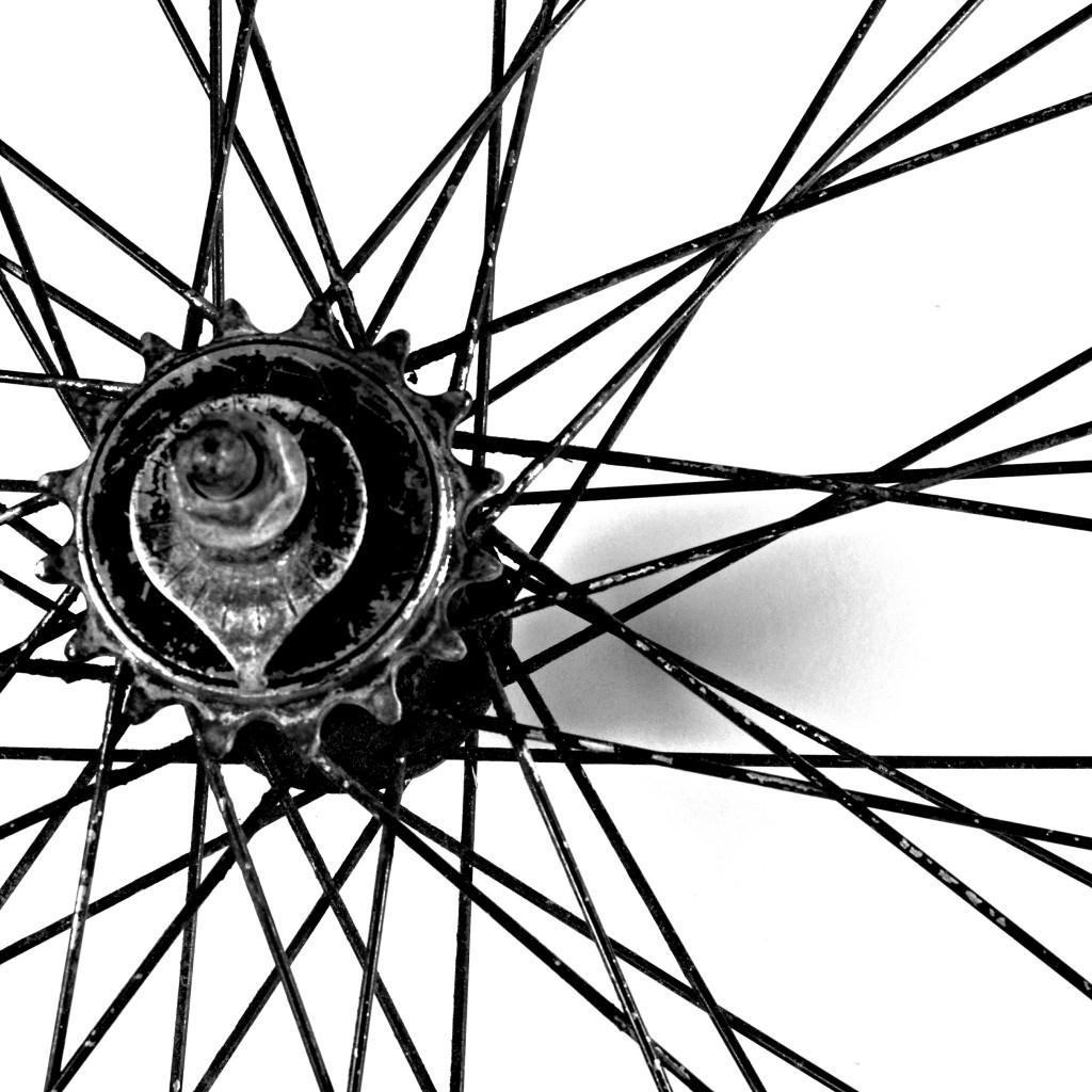 craigslist bike racks