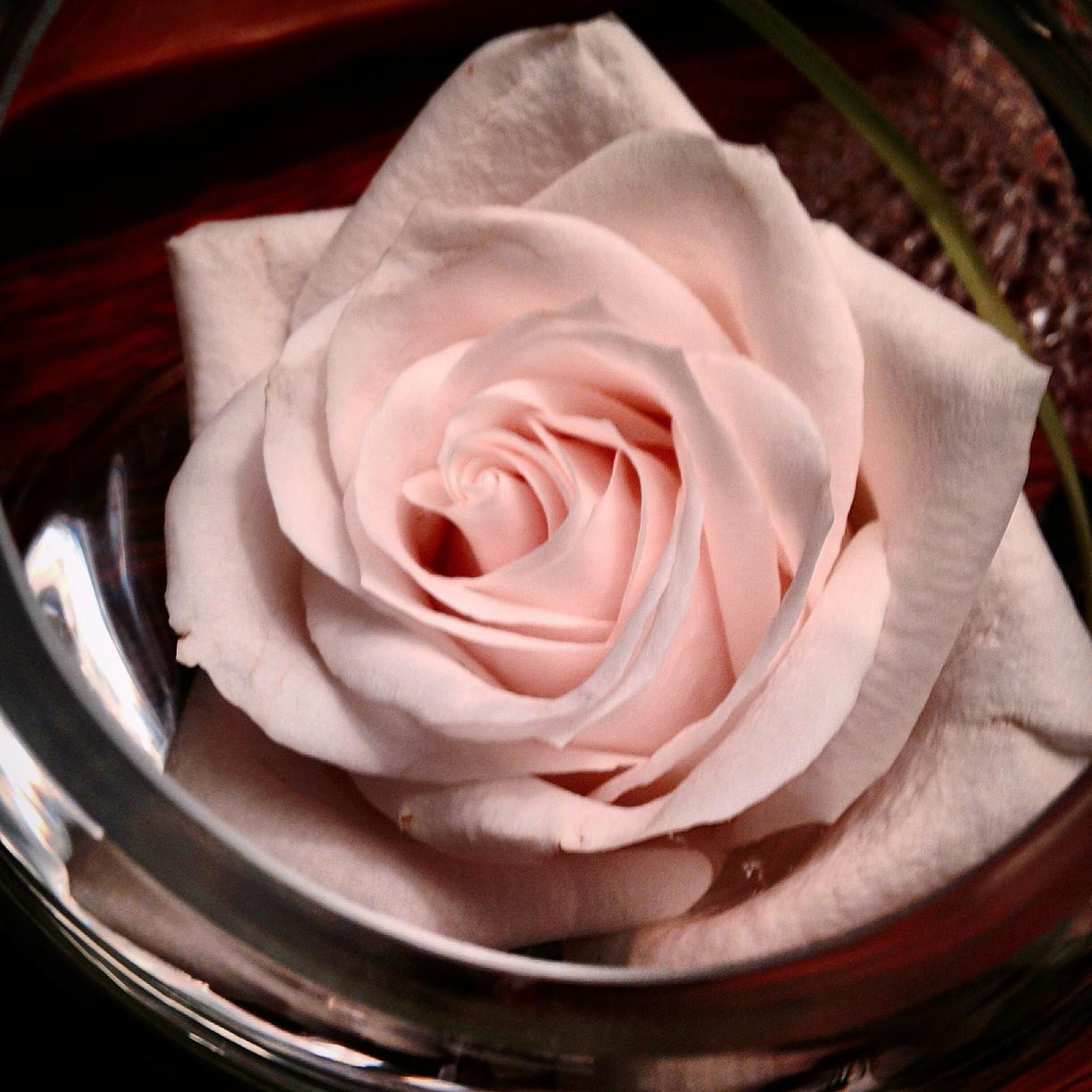 MadrePalmer's profile picture. 