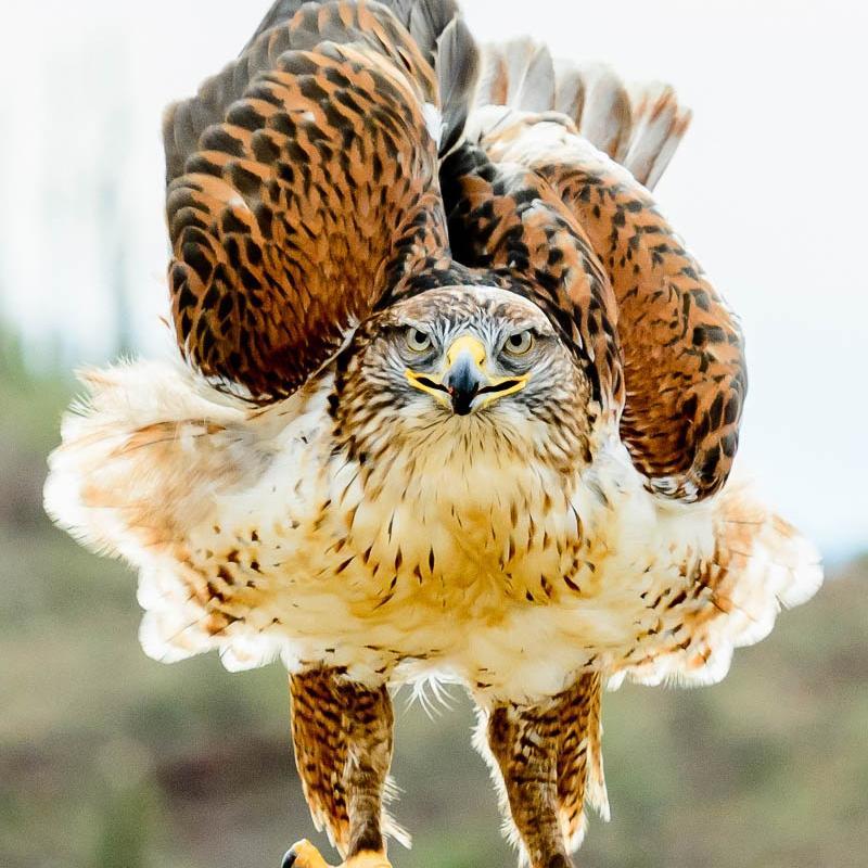 HemzaRobotworld's profile picture. 