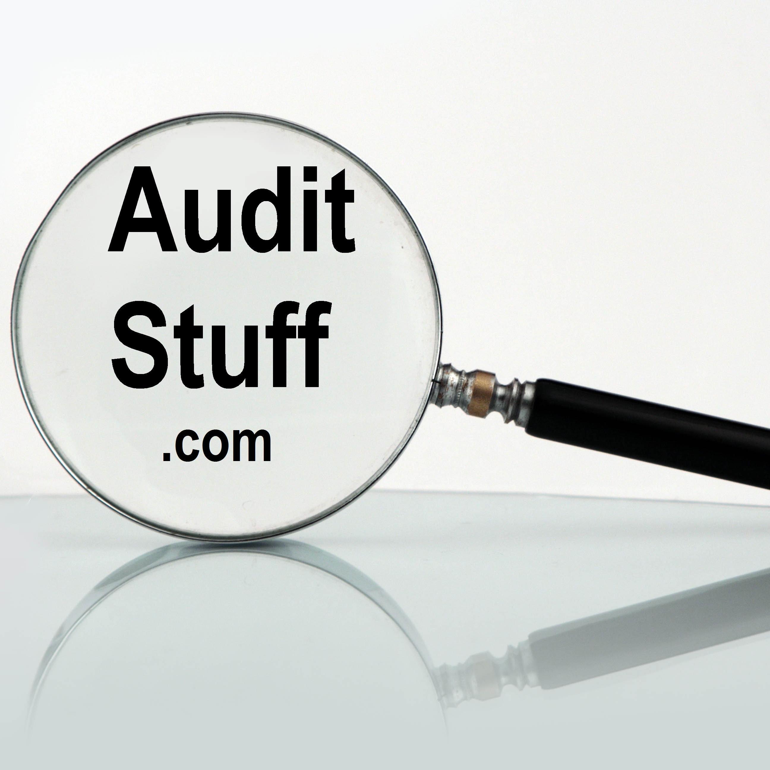 #1 Resource for all audit stuff