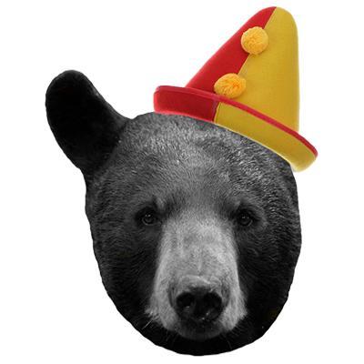 'Beary Fair & Beary Balanced' News