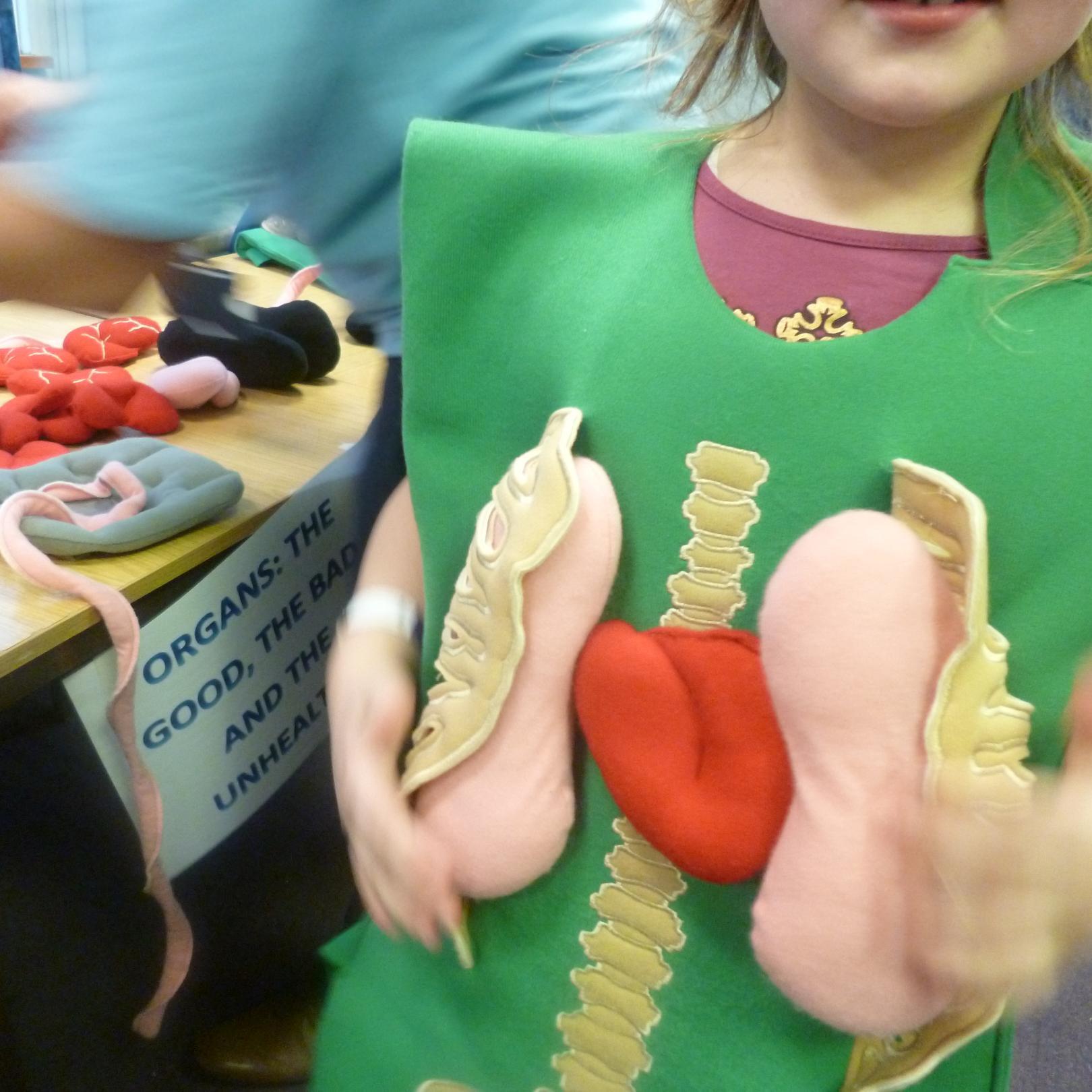 Brighton & Sussex medical student-led outreach project, visiting state primary schools, teaching yr 5&6s about medicine & being a doctor!