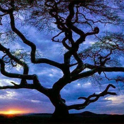 BilletDebbie's profile picture. 