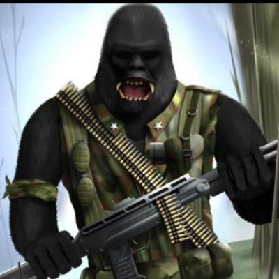 not king baby kong @ to get retweeted. retweet anything and everything sometimes