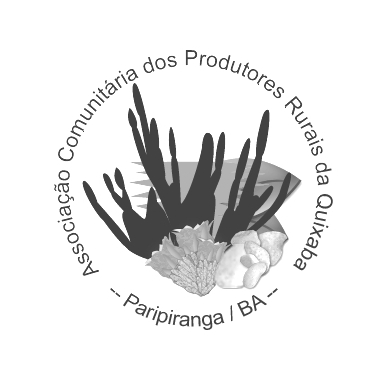 Assoc_Quixaba's profile picture. Associação comunitária do vale do Rio Vaza Barris, em Paripiranga, sertão da Bahia. LUTAS: produção familiar, agroecológica, cultura e leitura no meio rural