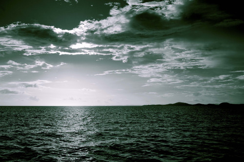 ElSonDeLaTierra's profile picture. Scientist