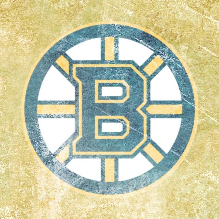 Bruins Fanatic