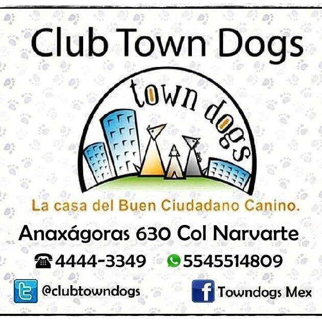 clubtowndogs's profile picture. Somos una boutique dedicados a proveer los servicios y productos de calidad al mejor precio para que puedas hacer crecer los lasos con tu amigo canino.