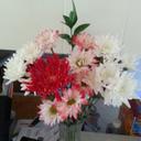 Katrina Buck  - @kcbuck_ - Twitter