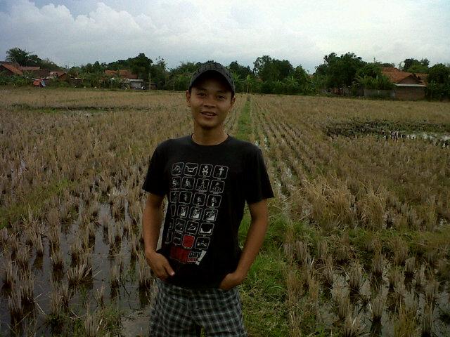 AmaOcan's profile picture. 