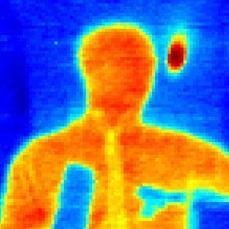 dietlein's profile picture. Engineer, scientist, researcher |  Earth | https://t.co/HVkTFYgnHE