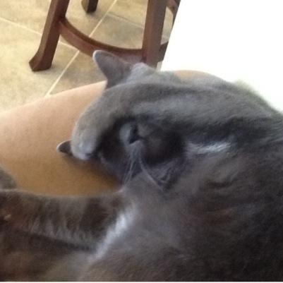 JohnAustinRoge1's profile picture. 