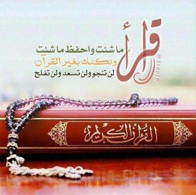 a6r_123's profile picture. ‏‏‏‏‏لايجوز وضع صور ذوات الأرواح في التواقيع ولافي التصاميم .ولو كانت الصورة غير حقيقة ،فإن السلامة لا يَعْدِلها شيء .وليس هناك حاجة لِوضع صورة لا حقيقة ولا خيا