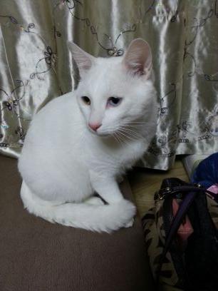 yona3011's profile picture. 