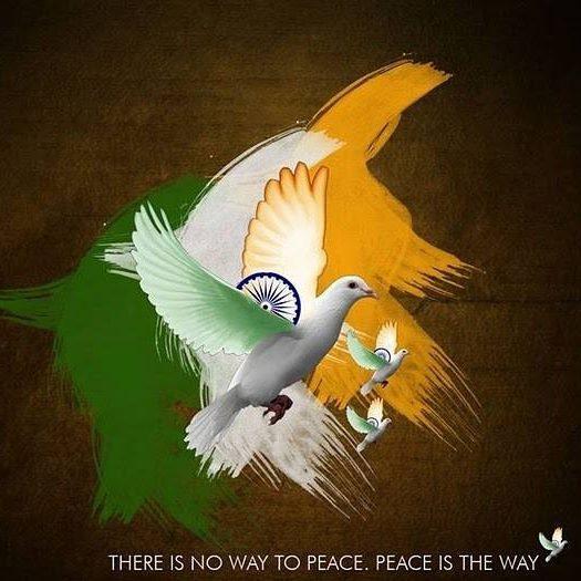 mashhoodmt's profile picture. 