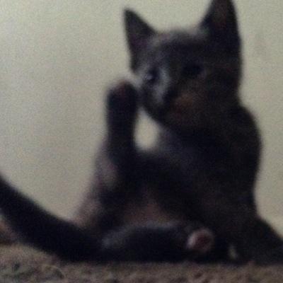 KHagenow's profile picture. 