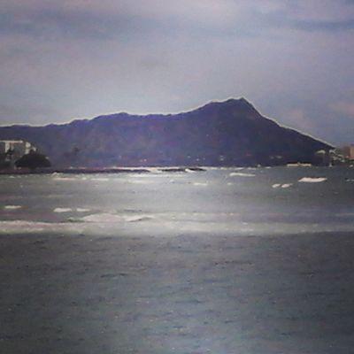 CellittiKim's profile picture. 