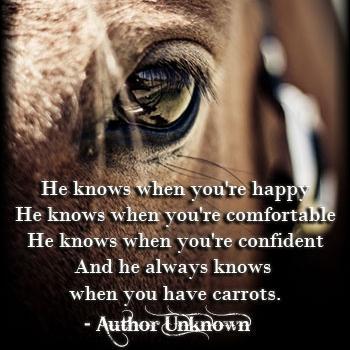 Owner/Facilitator of Equine Synergy an equine assisted learning program for all ages, horse fanatic, mother of 2 amazing kids, animal advocate