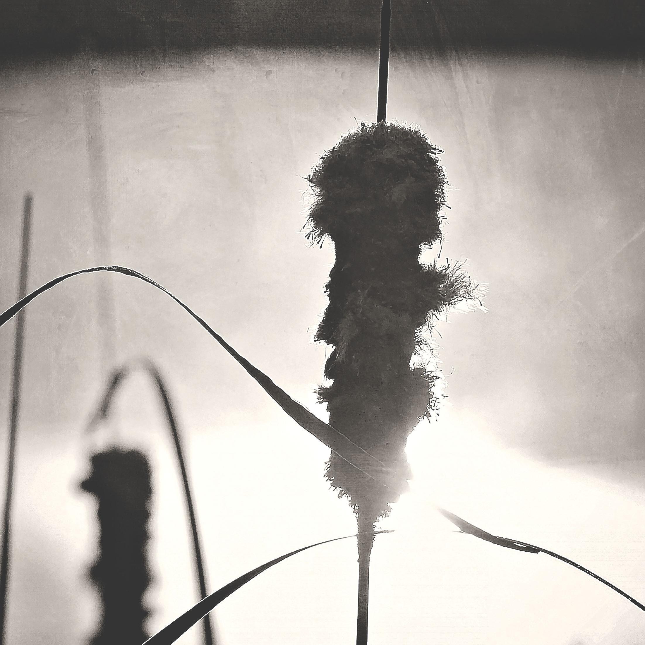 JessicaLThomas1's profile picture. Wife,mother of 3,dreamer of the impossible in the in-between times.