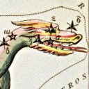 shydrae's profile picture. I went hunting wild after the wildest beauty in the world — W Owen

Also at @mappingcat@mastodon.art