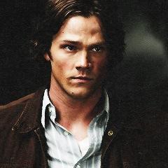 ChosenDemonLead's profile picture. Nerd, moose. Brother to @GuiltComplex, bitch. The tall one, I have /lot/ of nicknames. But just call me Sam. [Will|SV|Single|Bi]